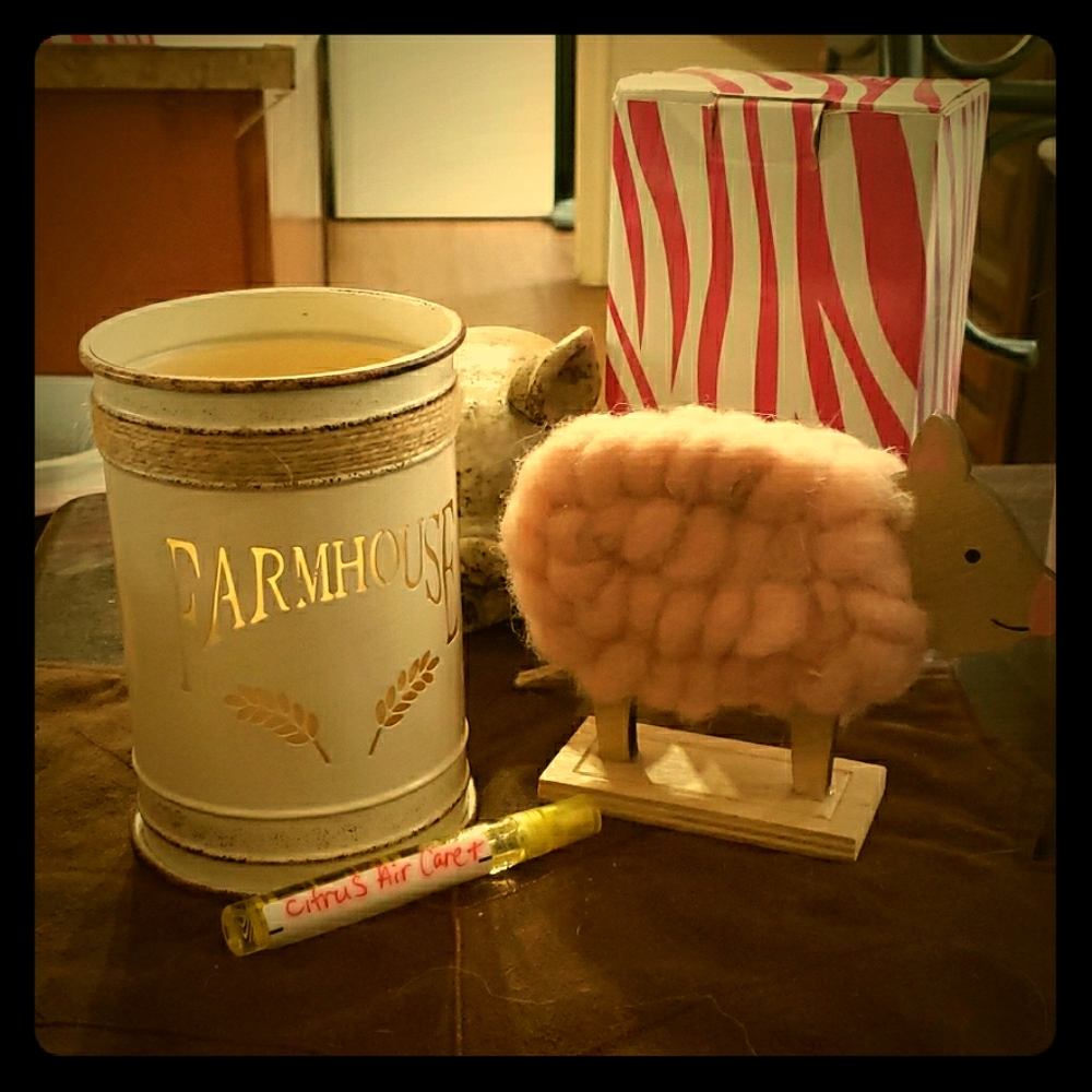 Farmhouse Bundle Pink Zebra